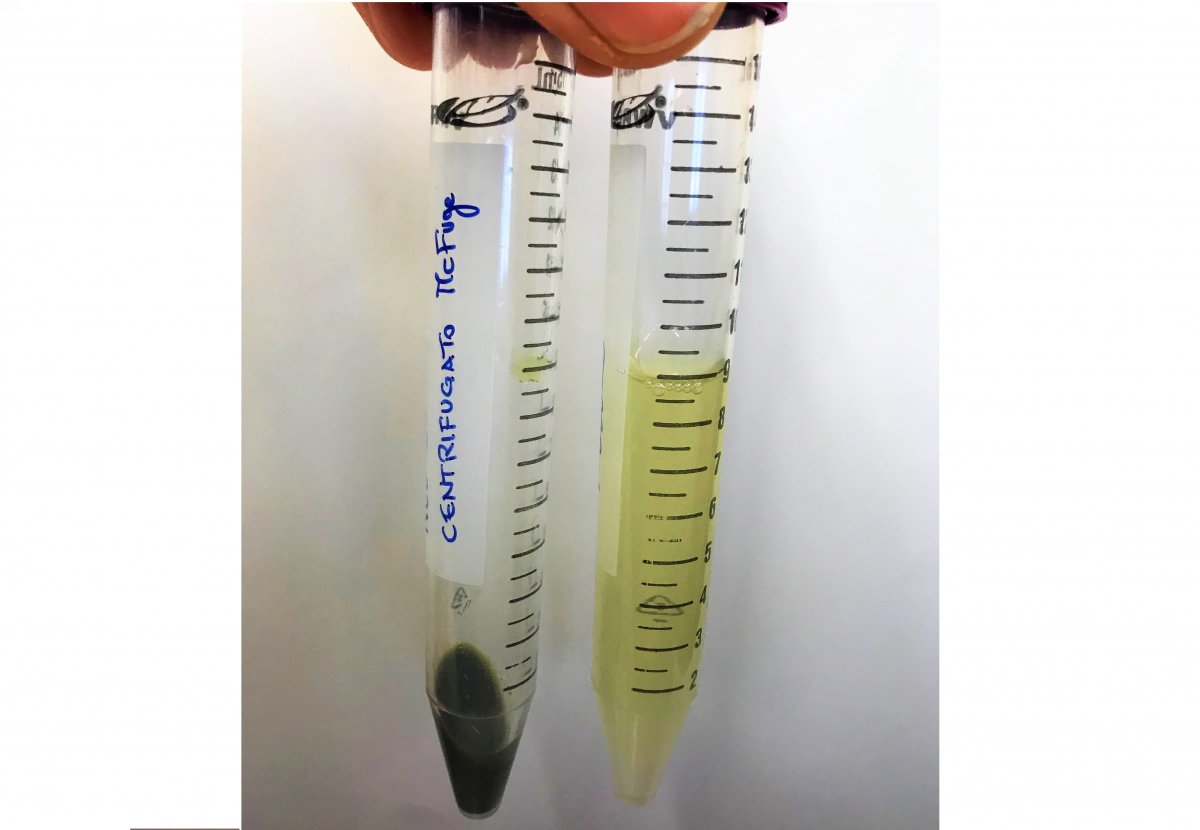 MACFUGE 325 micro algae concentration